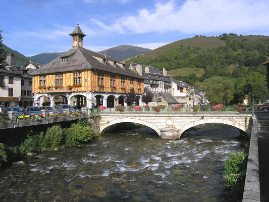 Etape 16 : Bagnères de Luchon - Arreau