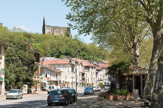 Etape 14 : Foix - Salies du Salat